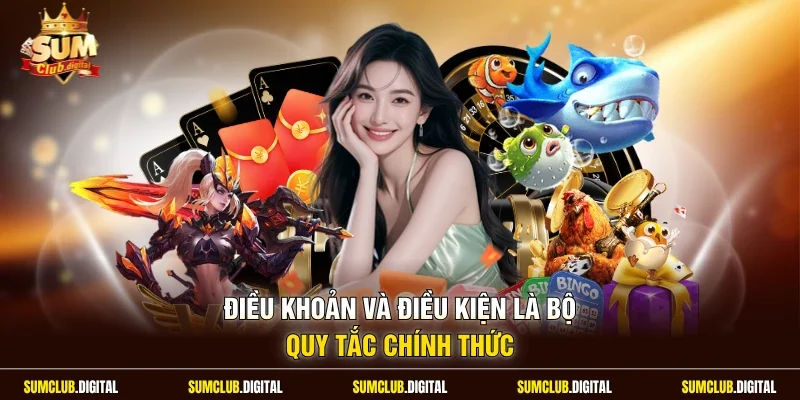 Điều khoản và điều kiện là bộ quy tắc chính thức