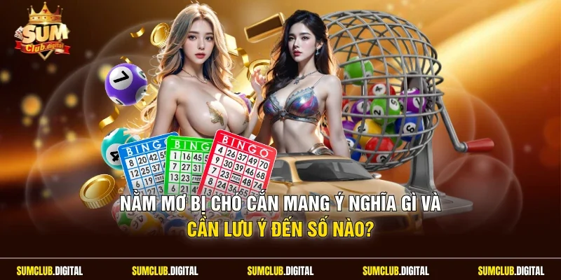 Nằm mơ bị chó cắn
