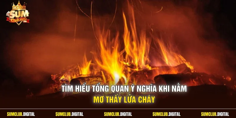 Tìm hiểu tổng quan ý nghĩa khi nằm mơ thấy lửa cháy