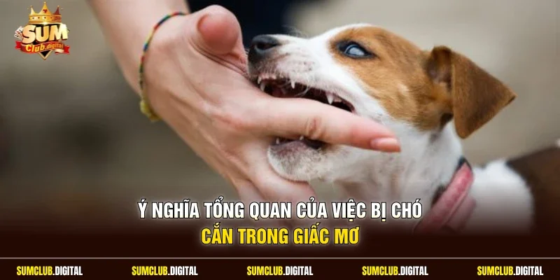 Ý nghĩa tổng quan của việc bị chó cắn trong giấc mơ